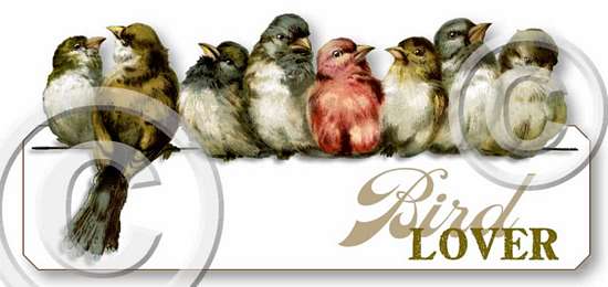 Item 92 Bird Lover Plaque