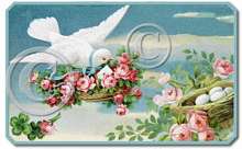 Item 2211 Victorian Dove Pink Shabby Cottage Roses Plaque
