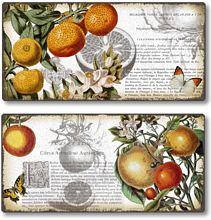 Item 821617 Set of 2 Botanical Citrus Fruit Plaques