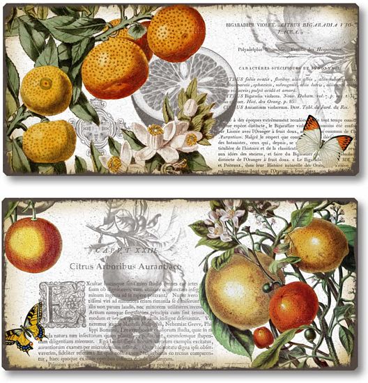 Item 821617 Set of 2 Botanical Citrus Fruit Plaques